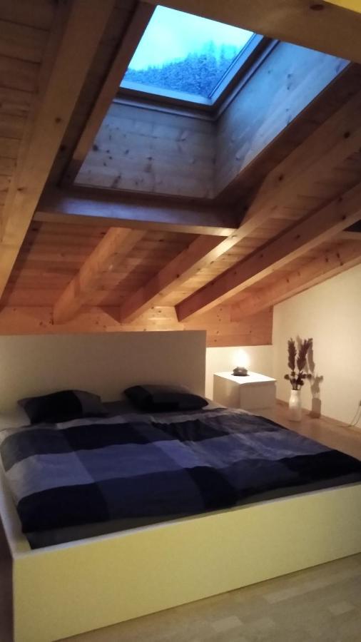 Apartment HohenВерфен Екстериор снимка